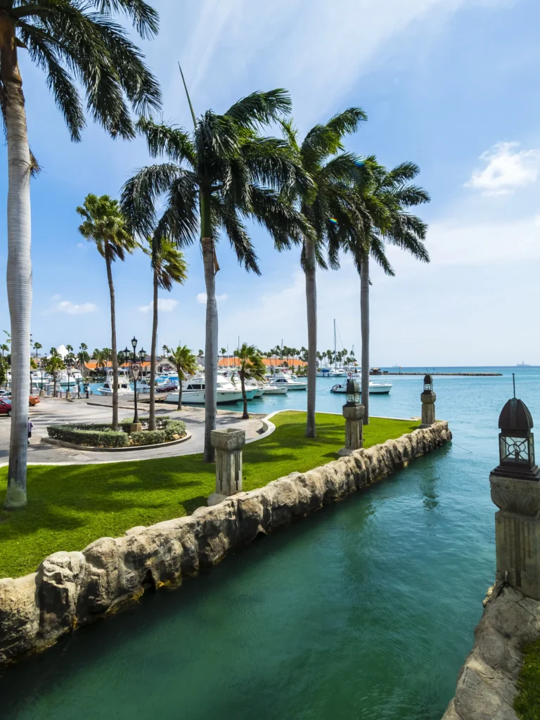 Oranjestad marina in Aruba with palm trees and boats